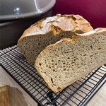 Brot1_kl